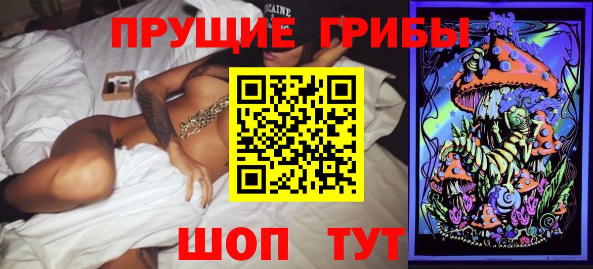 Псилоцибиновые грибы мицелий Чайковский