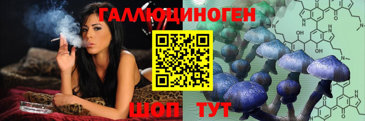Псилоцибиновые грибы Cubensis  Псилоцибиновые грибы Psilocybe  Вход с VPN  Чайковский 