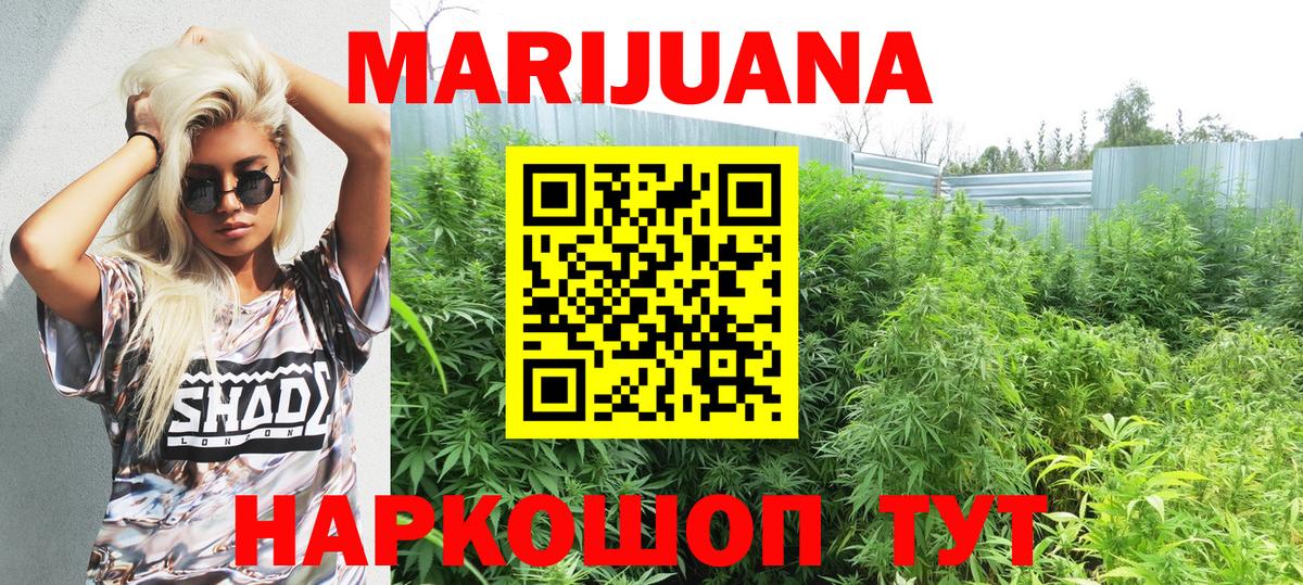 Каннабис индика Чайковский
